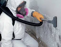 Trusted Tremont, PA Mold Inspection Experts